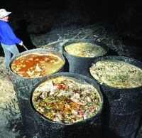 生活垃圾分類知識“地溝油”最后都去了哪里呢？