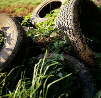 廢棄垃圾污染環境圖片