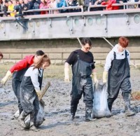 垃圾分類常識(shí)你知道多少？