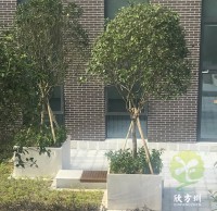 戶外物業小區不銹鋼樹池