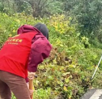 多舉措推進(jìn)生活垃圾分類工作走深走實(shí)